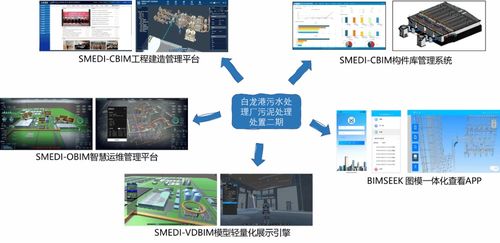 數字賦能，青春筑夢 上海建工市政總院數字院青年團隊的創新與實踐